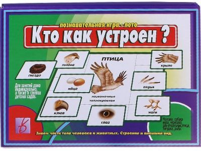 Кто как устроен?