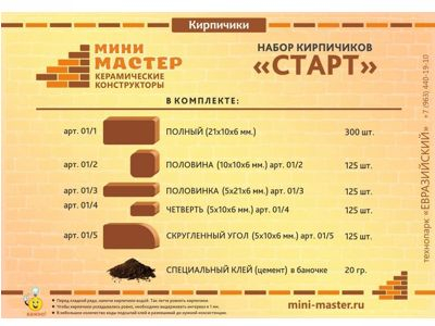 Набор мини мастер СТАРТ, 500 кирпичиков