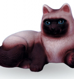 Кошка Сиамка