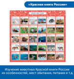 Комплект Патриотическое воспитание с РобоМышью