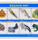 Чудеса приображенич - Водный мир