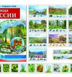 Россия - родина моя. Природа России. 10 демонстрационных картинок А4 с беседами