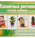 Комнатные растения и уход за ними