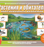 Растения и обитатели пресноводных водоемов