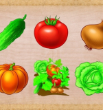 Пазлы вкладыши 