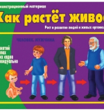 Как растет живое?