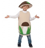 Гриб Боровик, карнавальный костюм, р.98-122