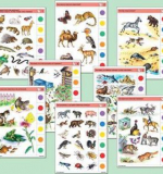 Мир природы. Карточки 