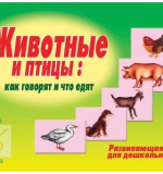 Животные и Птицы 