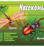 Насекомые 