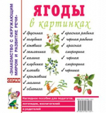 Ягоды в картинках. Наглядное пособие А4