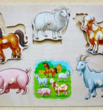 Пазлы вкладыши 