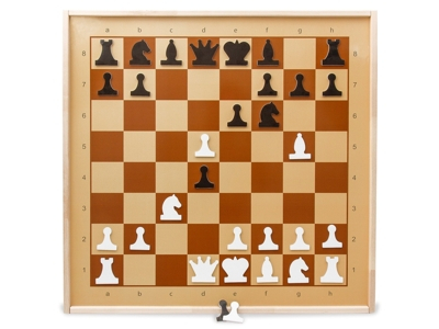 Шахматы демонстрационные магнитные