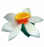 Шапочка Нарцисс, цветок