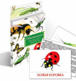  Карточки дидактические - Насекомые