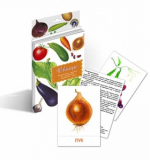 Карточки дидактические - Овощи