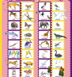 Плакат - Противоположности