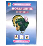 Домашние птицы