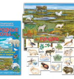 Природные зоны - Север