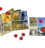 Звуковое лото 