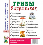 Грибы в картинках. Наглядное пособие для воспитателей, логопедов, педагогов, родителей.