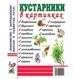 Кустарники в картинках. Наглядное пособие для педагогов, логопедов, воспитателей и родителей.