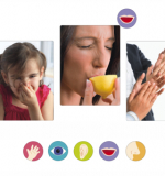 Комплект «Мир ощущений»