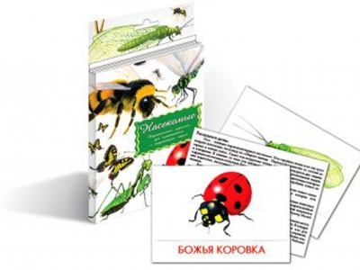  Карточки дидактические - Насекомые