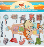 Набор из фетра. Тело Человека с игровым полем