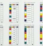 Раздаточные карточки №1 