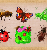 Пазлы вкладыши 