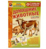 Самым маленьким - Домашние животные