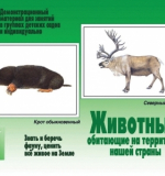 Животные нашей страны