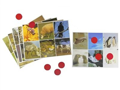 Звуковое лото 