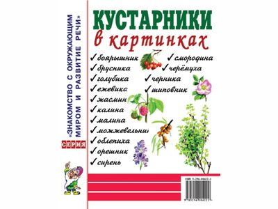Кустарники в картинках. Наглядное пособие для педагогов, логопедов, воспитателей и родителей.