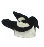 Шапочка Сорока