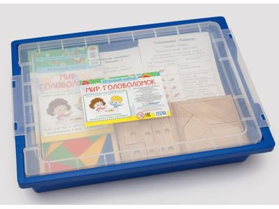 Игровой набор «МИР ГОЛОВОЛОМОК» смарт-тренинг для детей дошкольного возраста с ОВЗ