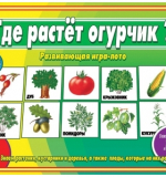 Где растет огурчик?