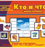 Кто и что?